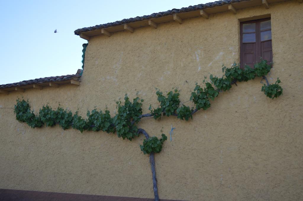 Landhaus Llaganos Villaturiel